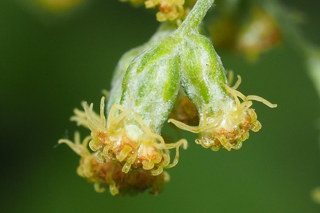 P5070253 (17)